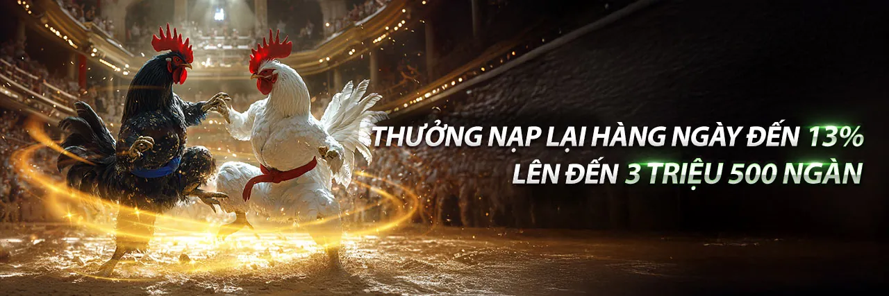 Sân vận động bóng đá với khán giả hâm mộ và logo link win55, màu xanh lá cây vàng